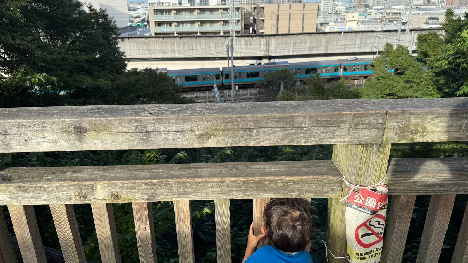 木の柵越しに新幹線と走る電車を見る子どもの後ろ姿